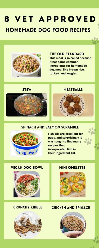 Healthy and Vet-Approved Homemade Dog Food Recipes for a Happy Pup