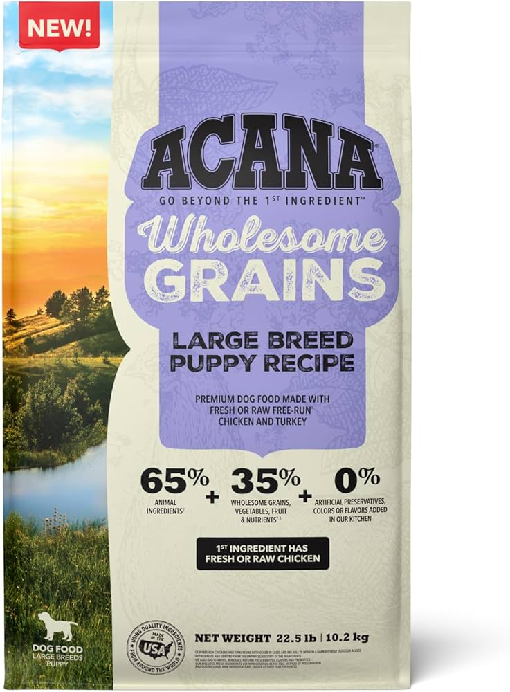 The Essential Guide for Feeding Large Breed Puppy Dogs: A Nutritional Approach