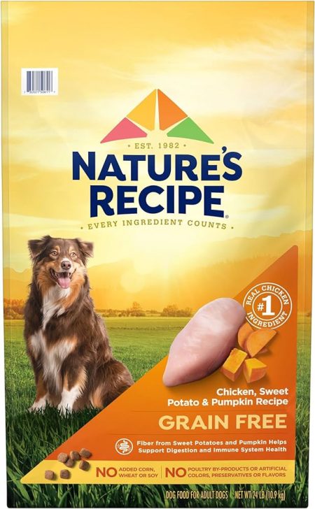 Exploring Nature's Recipe Dog Food: A Holistic Approach to Nutritious Pet Meals