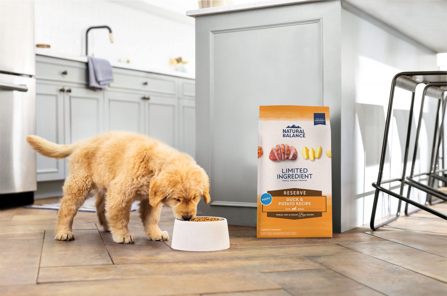 The Best Dog Food Options at PetSmart: A Comprehensive Guide for Your Canine Companion