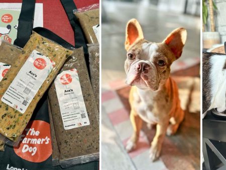 The Farmer's Choice: A Nutritious and Sustainably Sourced Dog Food