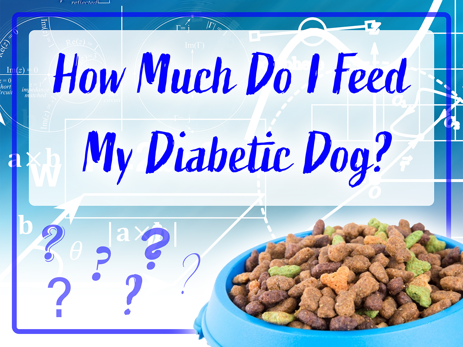 The Best Diabetic Dog Food Options for Optimal Health