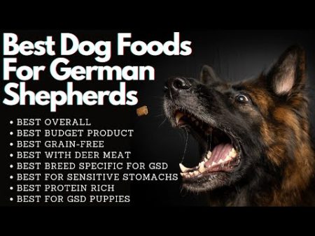 The Essential Guide to Finding the Best Dog Food for German Shepherds