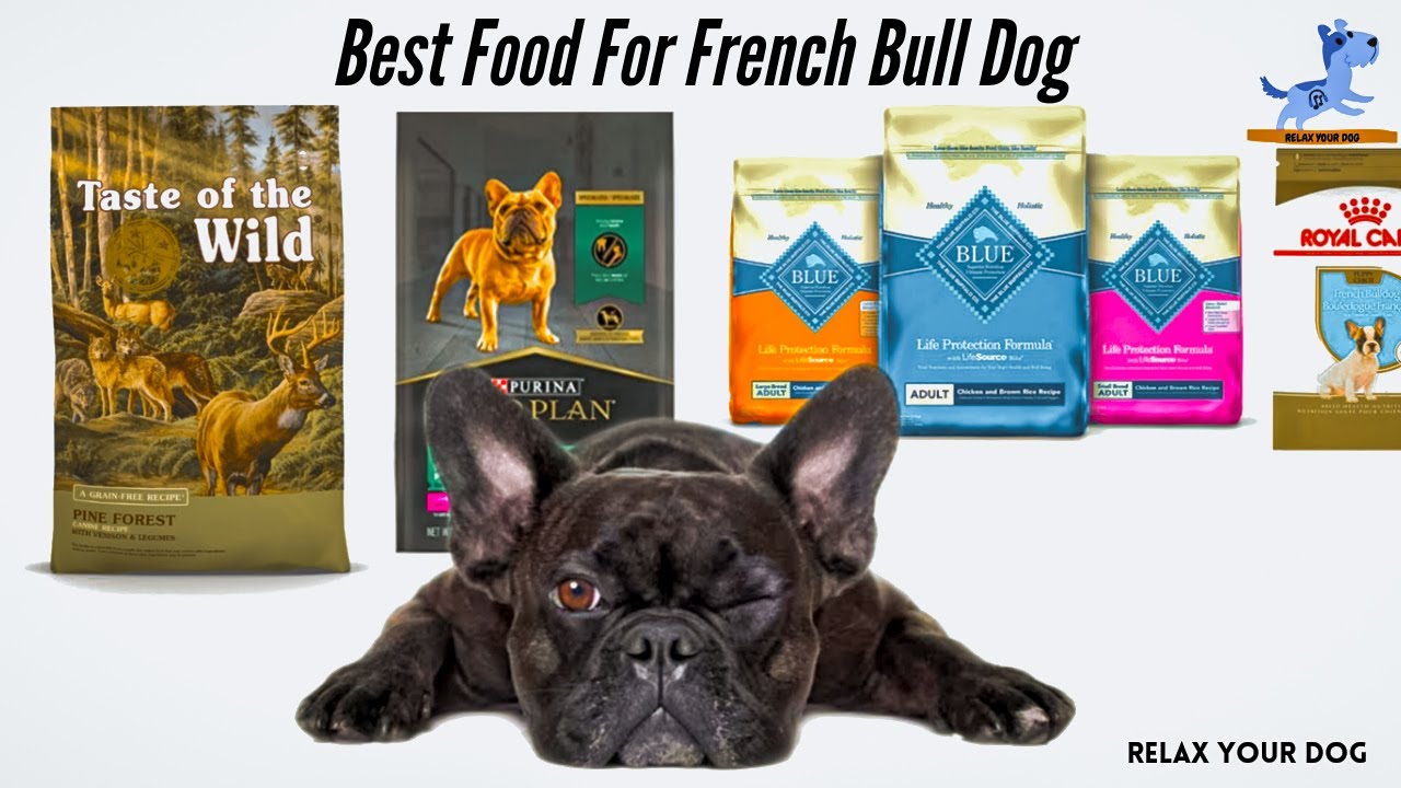 The Perfect Dog Food for French Bulldogs: A Guide to Healthy Nutrition