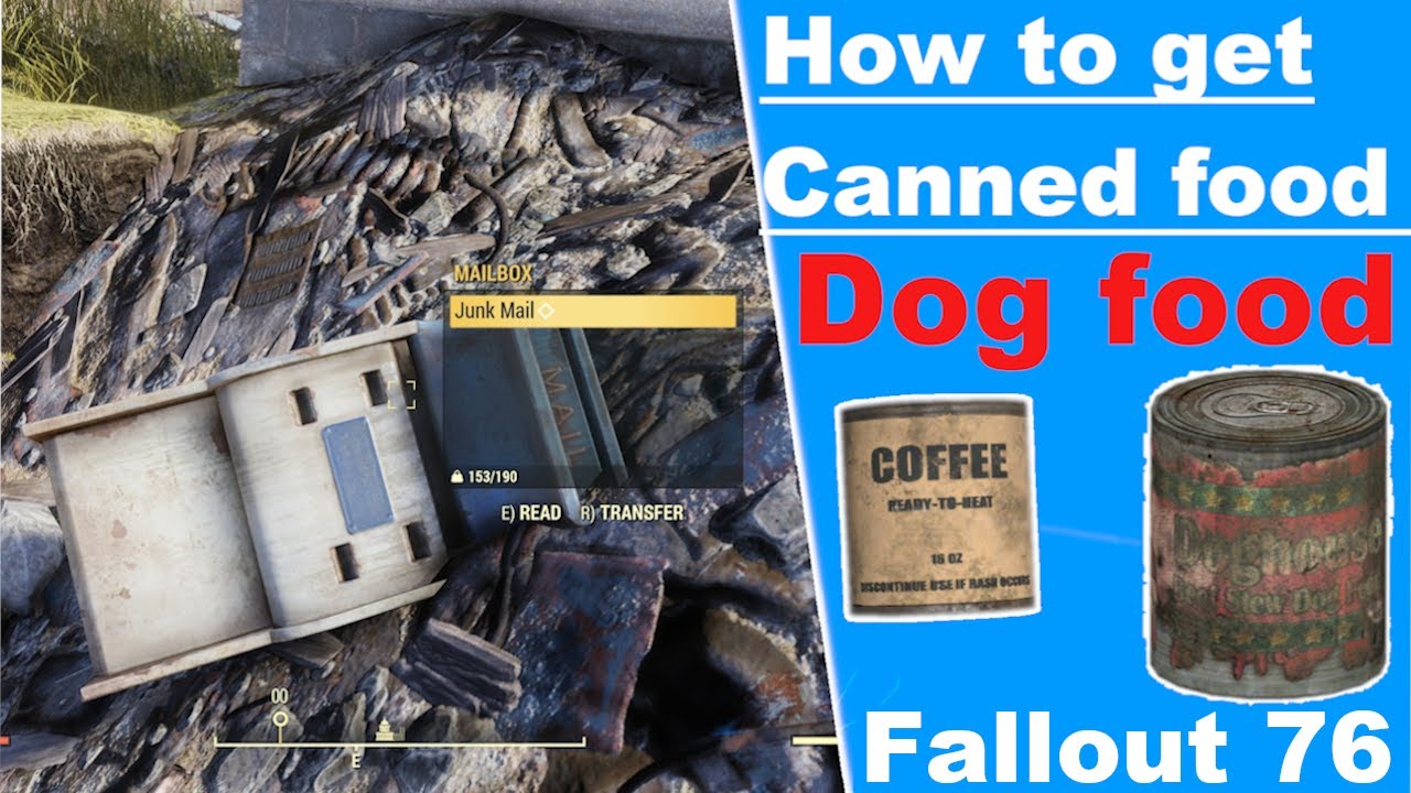 Exploring the Wasteland: Finding the Best Sources for Canned Dog Food in Fallout 76