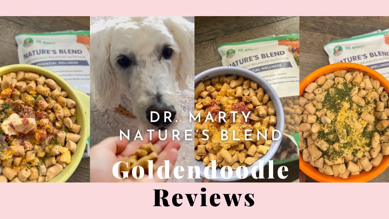 Unbiased and Honest Reviews of Dr Marty's Dog Food: The Guide for Pet Owners