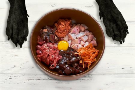 The Health Benefits of a Raw Food Diet for Dogs: A Complete Guide