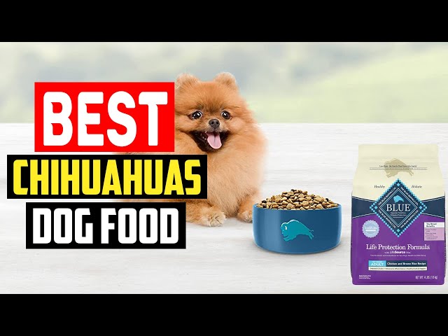 The Top Picks for Nutritious Dog Food for Chihuahuas: Ensuring a Healthy Diet for Your Beloved Pet