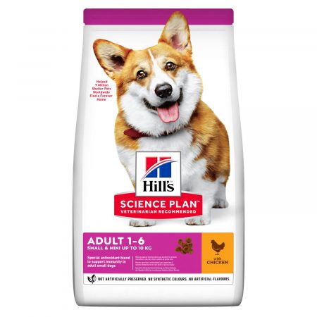 Unveiling the Benefits of Hill's Science Plan Dog Food: A Natural Approach to Nourishing Your Canine Companion