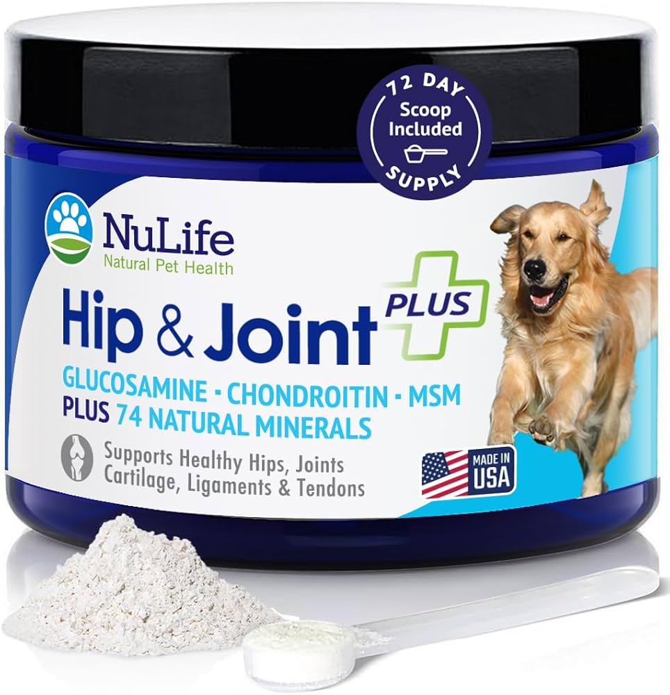 Top Dog Foods Tailored for Canine Muscle Support: A Comprehensive Guide