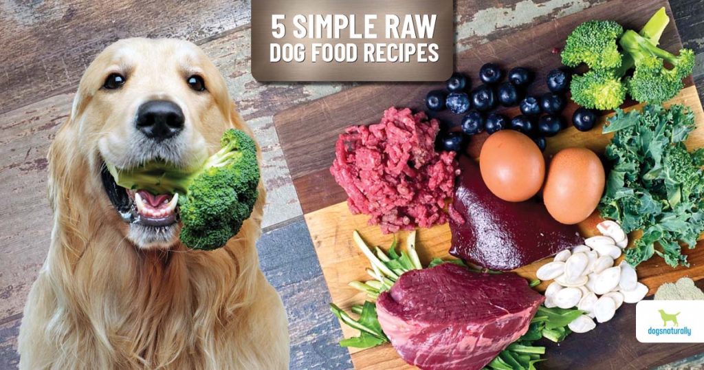 Find Quality Raw Dog Food Options in Your Local Area