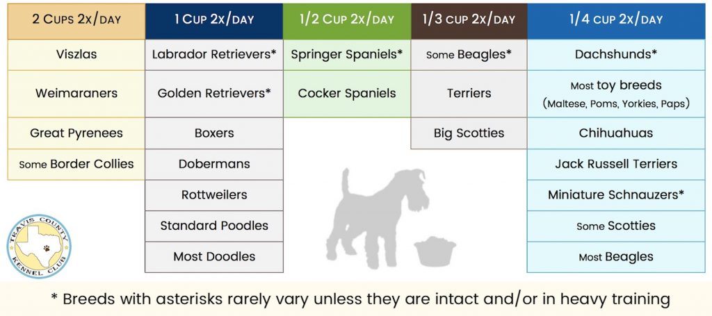 Finding the Right Portion Size: How Much Food Should Your Dog Really Eat?